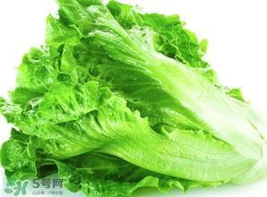 春天能種生菜嗎？生菜春天可以種嗎？