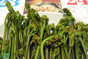 蕨菜為什么苦？蕨菜苦是怎么回事？