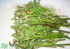 蕨菜怎么去苦味？蕨菜怎么做不苦？