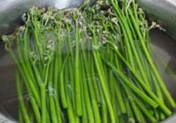蕨菜怎么洗？蕨菜怎么清洗才干凈？