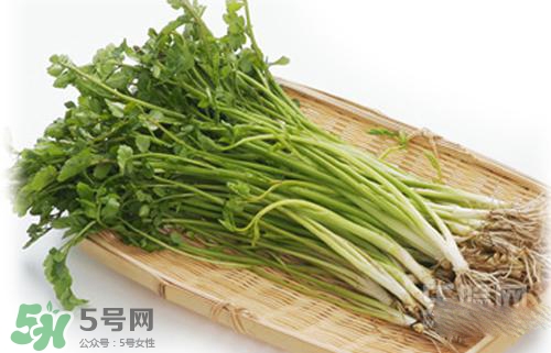 吃野芹菜會中毒嗎？吃野芹菜中毒了怎么辦？