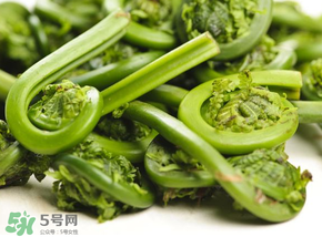 蕨菜怎么洗？蕨菜怎么清洗才干凈？