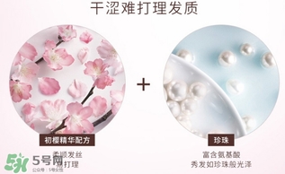 淳萃水舞櫻花護發(fā)素多少錢？淳萃水舞櫻花護發(fā)素價格