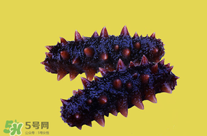 春天能吃海參嗎？春天吃海參效果好嗎？