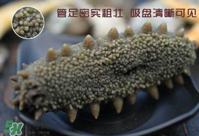春天能吃海參嗎？春天吃海參效果好嗎？