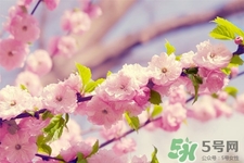 春天容易得水痘嗎？春天是水痘的高發(fā)季節(jié)嗎？