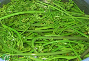蕨菜怎么洗？蕨菜怎么清洗才干凈？