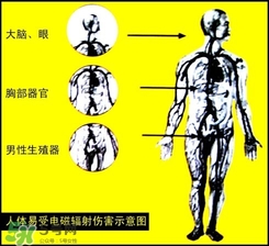 防輻射服什么時(shí)候開始穿？防輻射服真的有用嗎？