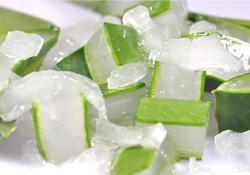 出水痘能用蘆薈膠嗎？水痘破了能擦蘆薈膠嗎？