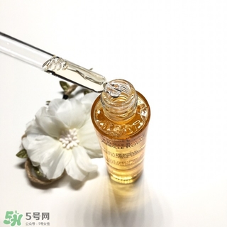 嬌蘭黃金蜜原蜜怎么用？嬌蘭黃金蜜原蜜使用方法