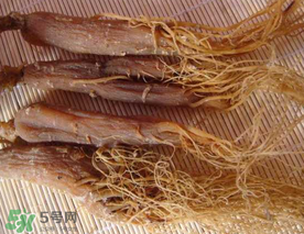 春天能吃紅參嗎？春天可以吃紅參嗎？