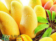 什么人不能吃芒果？哪些人不能吃芒果？