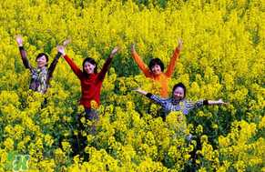四月份還有油菜花嗎？4月份還有油菜花嗎？