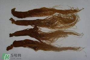 紅參可以天天吃嗎？紅參的功效與作用