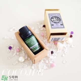 阿芙美女與野獸合作款有哪些？阿芙美女與野獸護(hù)膚品價(jià)格