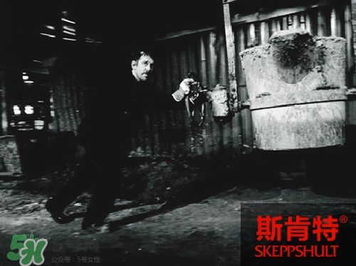 斯肯特是什么牌子 skeppshult是否瑞典產