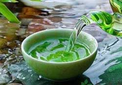 清明茶什么時(shí)候采？采清明茶什么時(shí)候結(jié)束？