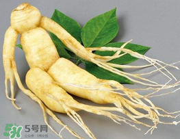 春天能吃高麗參嗎？春天可以喝高麗參湯嗎？