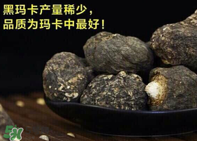 春天能吃瑪卡嗎？女人春天能吃瑪卡嗎？