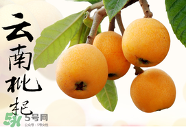 枇杷能放冰箱嗎？枇杷可以放冰箱保存嗎？