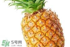 吃菠蘿太多會胃痛嗎？為什么吃菠蘿會胃痛？