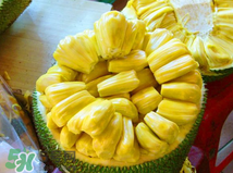 菠蘿蜜的營養(yǎng)價值 吃菠蘿蜜有什么好處？