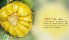 菠蘿蜜和榴蓮的區(qū)別 菠蘿蜜和榴蓮哪個(gè)好吃？