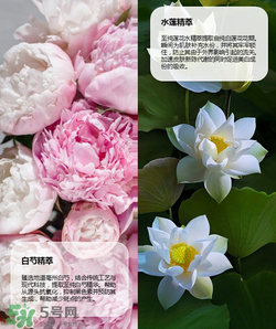 羽西丁一晨限定護(hù)膚品多少錢？羽西丁一晨限定價(jià)格