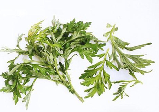 艾草可以治痛經(jīng)嗎？艾草能治月經(jīng)不調(diào)嗎？