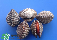 泥蚶怎么讀？泥蚶做法