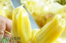 菠蘿蜜怎么吃？菠蘿蜜好吃嗎？