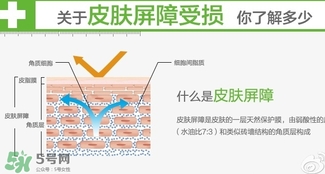 玉澤和至本哪個好？玉澤和至本區(qū)別對比