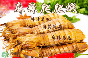 枇杷可以和海鮮能一起吃嗎？枇杷和海鮮一起吃吃好嗎？
