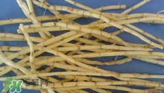 茅根的功效與作用 茅根有什么作用？