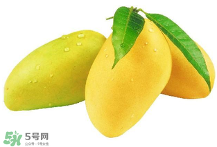 芒果哪里的最好吃？芒果哪種品種好吃？
