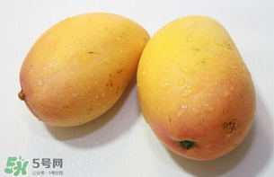 芒果哪里的最好吃？芒果哪種品種好吃？