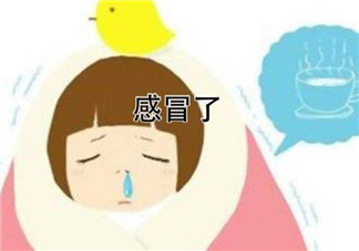 為什么總是感冒？總是感冒怎么回事？