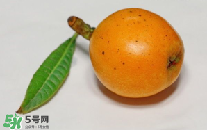 枇杷可以和蔥一起煮嗎？蔥和枇杷葉一起煮可以喝嗎？