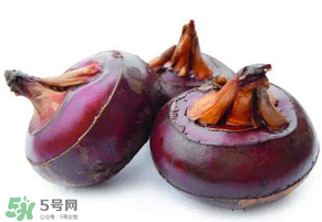 枇杷可以和荸薺一起煮水嗎？枇杷和荸薺能一起吃嗎？
