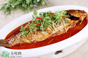 枇杷和魚能一起吃嗎？吃完魚可以吃枇杷嗎？