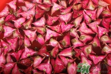 3月份的菱角可以吃嗎？菱角什么時候吃最好？