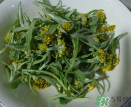 清明草怎么吃？清明草怎么做好吃？