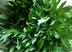 清明草是艾草嗎？清明菜是什么草？