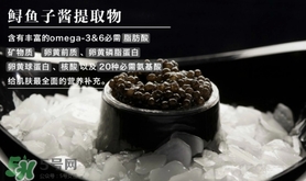 至本是什么牌子？至本什么檔次？