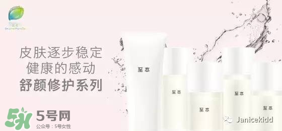 至本是什么牌子？至本什么檔次？