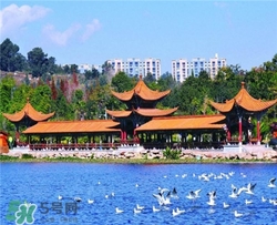 4月份去昆明穿什么？四月份去昆明穿什么衣服？