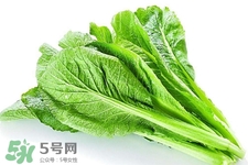 春菜為什么會苦？春菜發(fā)苦能吃嗎？