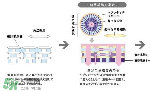 pola極光精華怎么用？pola極光精華使用方法