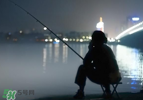 春分能夜釣嗎？春分能釣鯉魚嗎？