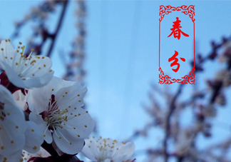 春菜為什么會苦？春菜發(fā)苦能吃嗎？